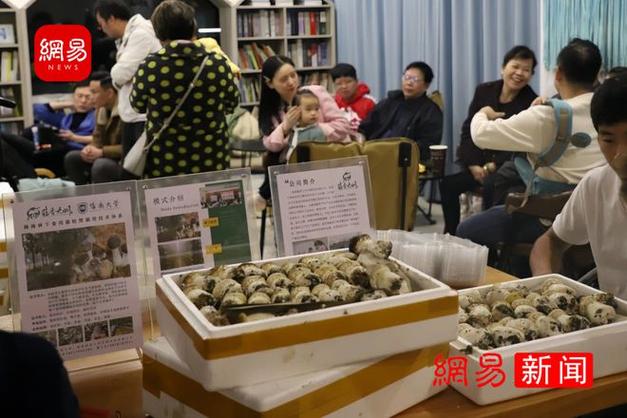 海南儋州食用菌品鉴文化艺术交流活动圆满成功举办，好评如潮！